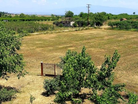 ypaithros-chora-efimerida-gia-tin-agrotiki-anaptyxi-kai-oikonomia-373610