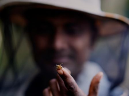 ypaithros-chora-efimerida-gia-tin-agrotiki-anaptyxi-kai-oikonomia-373017