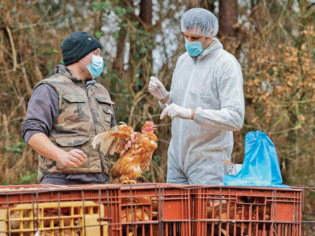 ypaithros-chora-efimerida-gia-tin-agrotiki-anaptyxi-kai-oikonomia-372835