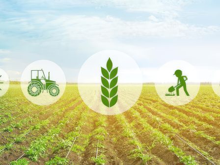 ypaithros-chora-efimerida-gia-tin-agrotiki-anaptyxi-kai-oikonomia-373699