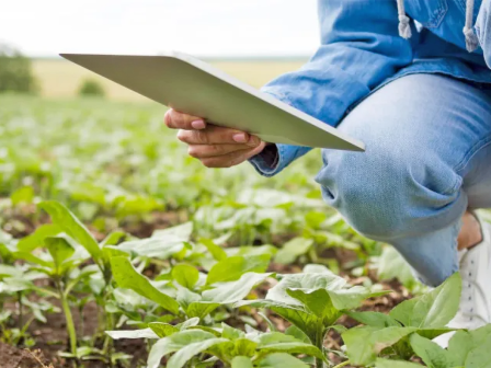 ypaithros-chora-efimerida-gia-tin-agrotiki-anaptyxi-kai-oikonomia-374103