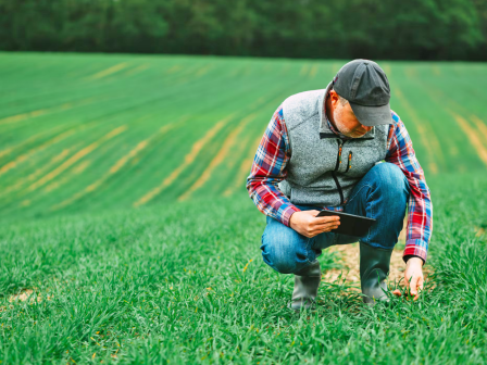 ypaithros-chora-efimerida-gia-tin-agrotiki-anaptyxi-kai-oikonomia-373263