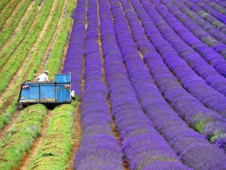 afxisi-eisagomenon-oinon-to-2025-fthinoi-apo-voulgaria-ispania-italia-kai-premium-apo-gallia-373876