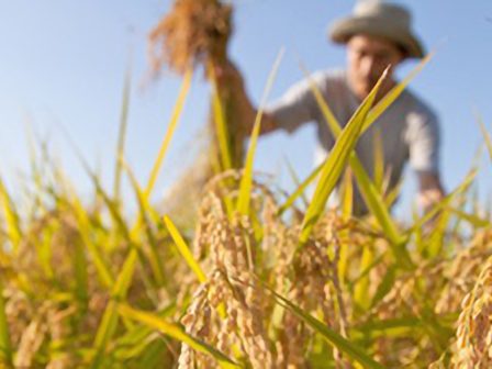 ypaithros-chora-efimerida-gia-tin-agrotiki-anaptyxi-kai-oikonomia-372875