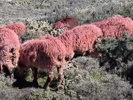 ypaithros-chora-efimerida-gia-tin-agrotiki-anaptyxi-kai-oikonomia-373813