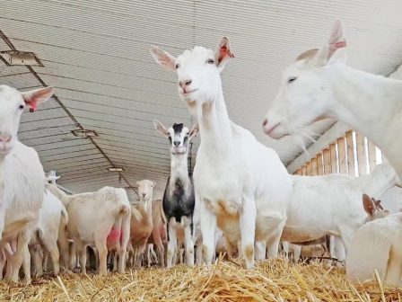 ypaithros-chora-efimerida-gia-tin-agrotiki-anaptyxi-kai-oikonomia-373739