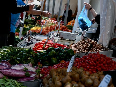 ligei-i-prothesmia-gia-tin-ananeosi-engrafis-sto-mitroo-eboron-nopon-oporokipeftikon-meno-373400