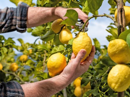 ypaithros-chora-efimerida-gia-tin-agrotiki-anaptyxi-kai-oikonomia-373231