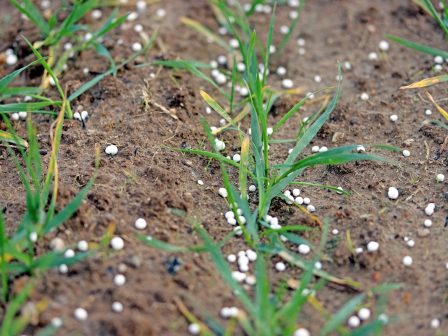 ypaithros-chora-efimerida-gia-tin-agrotiki-anaptyxi-kai-oikonomia-373593