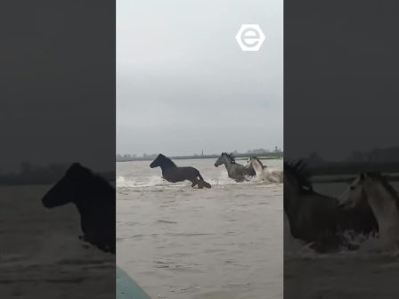 i-ora-tou-megalou-agrotikou-syllalitiriou-stin-athina-me-ta-trakter-sto-syntagma-fotos-vinteo-373250