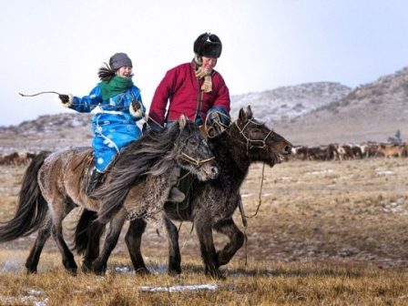 kina-to-cheimerino-festival-pagou-kai-chioniou-naantam-dinei-zoi-sta-pagomena-livadia-ektrofis-ton-alogon-373569