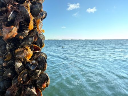 ypaithros-chora-efimerida-gia-tin-agrotiki-anaptyxi-kai-oikonomia-373511