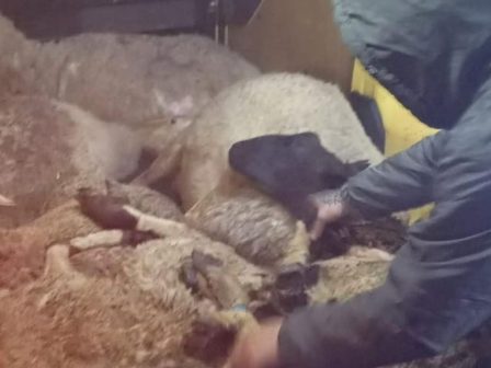 ypaithros-chora-efimerida-gia-tin-agrotiki-anaptyxi-kai-oikonomia-372640