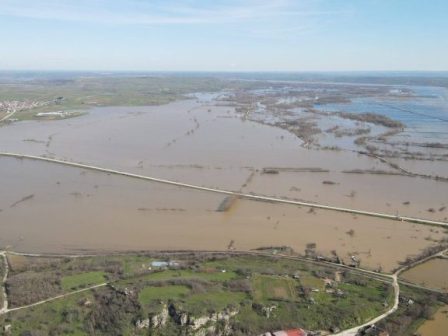 tin-prostasia-krisimon-arthron-tis-kap-opos-tou-energou-agroti-zitoun-17-chores-373770