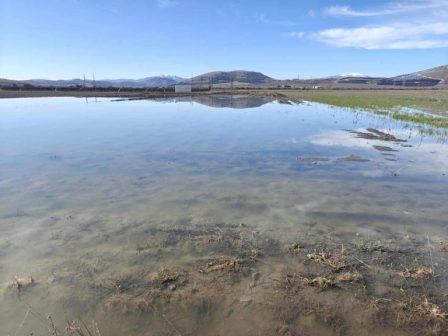 tin-prostasia-krisimon-arthron-tis-kap-opos-tou-energou-agroti-zitoun-17-chores-373758