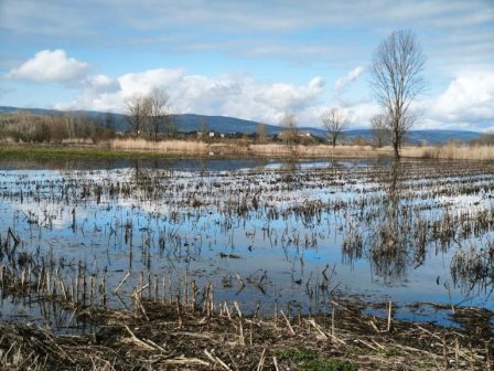 thessaloniki-se-ena-zontano-trapezi-metatrepetai-i-poli-apo-tis-13-os-tis-28-fevrouariou-373054