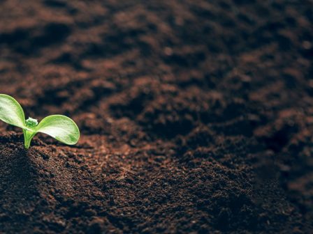 atlas-viologikon-2026-373793