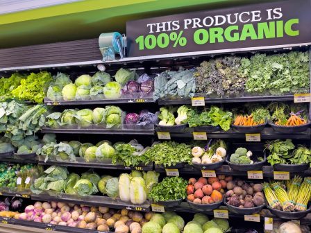 atlas-viologikon-2026-373802