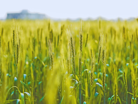 ypaithros-chora-efimerida-gia-tin-agrotiki-anaptyxi-kai-oikonomia-373598