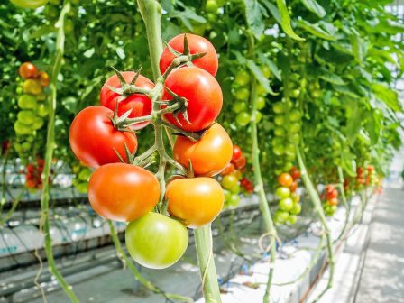 ypaithros-chora-efimerida-gia-tin-agrotiki-anaptyxi-kai-oikonomia-372517