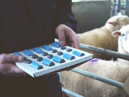 ypaithros-chora-efimerida-gia-tin-agrotiki-anaptyxi-kai-oikonomia-372588