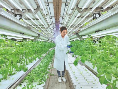 ypaithros-chora-efimerida-gia-tin-agrotiki-anaptyxi-kai-oikonomia-375186