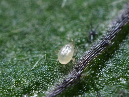 ypaithros-chora-efimerida-gia-tin-agrotiki-anaptyxi-kai-oikonomia-376014