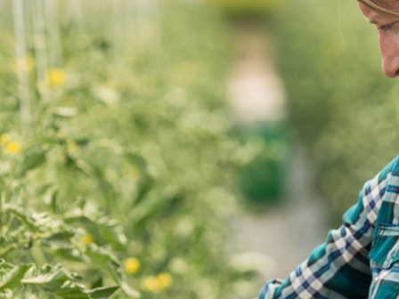 ypaithros-chora-efimerida-gia-tin-agrotiki-anaptyxi-kai-oikonomia-375052