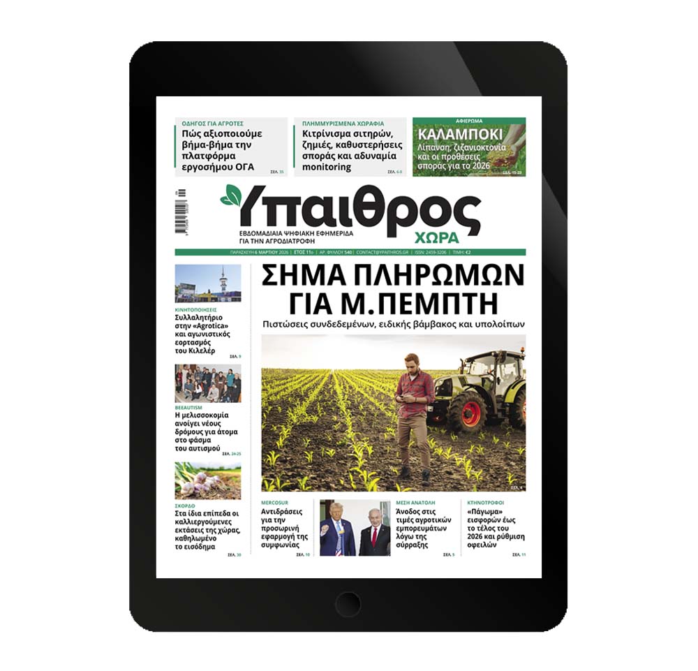 540-paraskevi-6-martiou-2026-374456