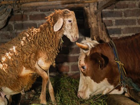 ypaithros-chora-efimerida-gia-tin-agrotiki-anaptyxi-kai-oikonomia-375944