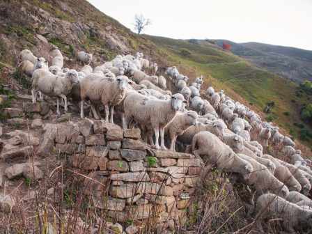 ypaithros-chora-efimerida-gia-tin-agrotiki-anaptyxi-kai-oikonomia-376070