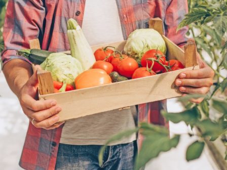 ypaithros-chora-efimerida-gia-tin-agrotiki-anaptyxi-kai-oikonomia-374807