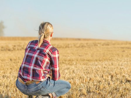 ypaithros-chora-efimerida-gia-tin-agrotiki-anaptyxi-kai-oikonomia-375666