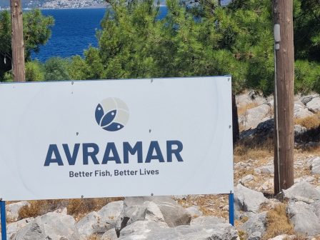 ypaithros-chora-efimerida-gia-tin-agrotiki-anaptyxi-kai-oikonomia-374274