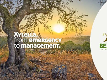 ypaithros-chora-efimerida-gia-tin-agrotiki-anaptyxi-kai-oikonomia-375388