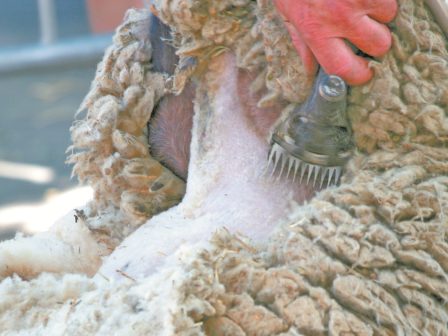 ypaithros-chora-efimerida-gia-tin-agrotiki-anaptyxi-kai-oikonomia-376138