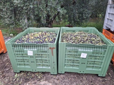 apo-10-eos-12-martiou-i-9i-panellinia-synantisi-fytoprostasias-sti-larisa-374349