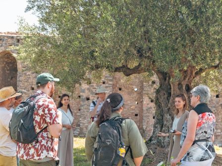 ypaithros-chora-efimerida-gia-tin-agrotiki-anaptyxi-kai-oikonomia-375073