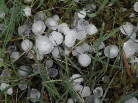 analytika-oles-oi-pliromes-pou-tha-ginoun-ti-megali-pebti-375970