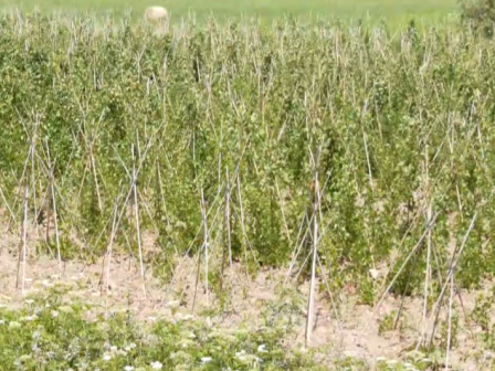 ypaithros-chora-efimerida-gia-tin-agrotiki-anaptyxi-kai-oikonomia-375320