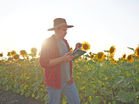 ypaithros-chora-efimerida-gia-tin-agrotiki-anaptyxi-kai-oikonomia-375907