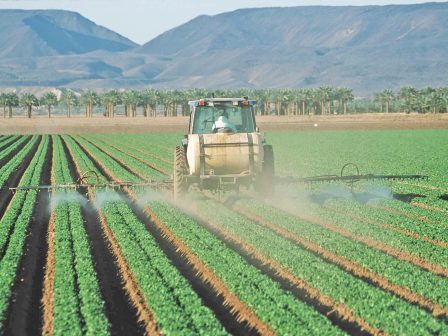 erevna-pligma-stous-ofelimous-organismous-tou-edafous-apo-ta-ypoleimmata-fytofarmakon-375081