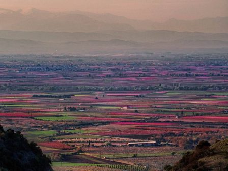 ypaithros-chora-efimerida-gia-tin-agrotiki-anaptyxi-kai-oikonomia-375071