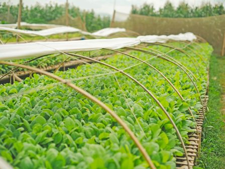 ypaithros-chora-efimerida-gia-tin-agrotiki-anaptyxi-kai-oikonomia-374394