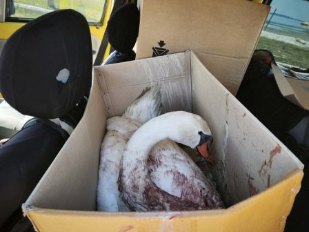 ypaithros-chora-efimerida-gia-tin-agrotiki-anaptyxi-kai-oikonomia-375232