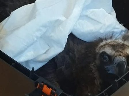 ypaithros-chora-efimerida-gia-tin-agrotiki-anaptyxi-kai-oikonomia-375741