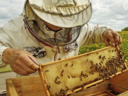 ypaithros-chora-efimerida-gia-tin-agrotiki-anaptyxi-kai-oikonomia-376199