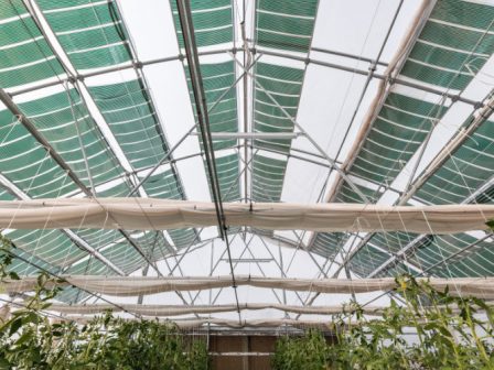 ypaithros-chora-efimerida-gia-tin-agrotiki-anaptyxi-kai-oikonomia-374289