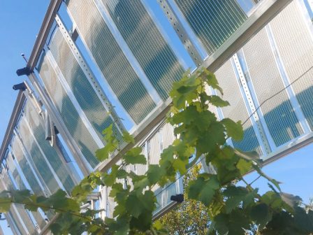 ekdilosi-gia-ta-agrovoltaika-stin-agrotica-374689