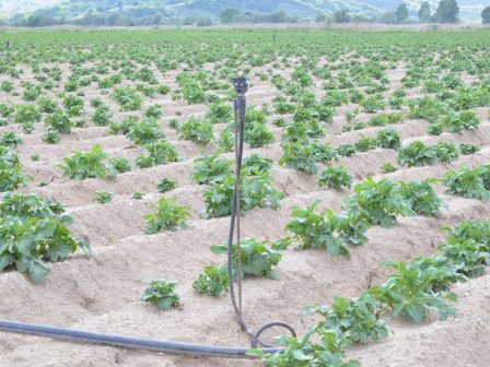 ypaithros-chora-efimerida-gia-tin-agrotiki-anaptyxi-kai-oikonomia-374724